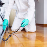 شركة مكافحة حشرات بالخبر